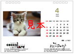 ねこの1-4-09校正3のコピー.jpg