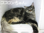 IMG_3576のコピー.jpg
