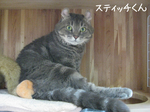 IMG_3578のコピー.jpg