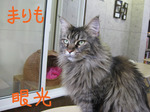 IMG_3586のコピー.jpg