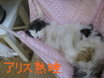 IMG_3587のコピー.jpg