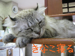 IMG_3591のコピー.jpg