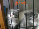IMG_3605のコピー.jpg