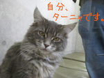 IMG_3639のコピー.jpg