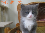 IMG_3643のコピー.jpg