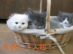 IMG_3648のコピー.jpg