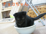 IMG_3653のコピー.jpg