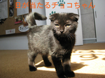 IMG_3660のコピー.jpg