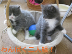 IMG_3665のコピー.jpg