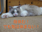 IMG_3668のコピー.jpg
