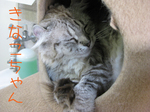 IMG_3685のコピー.jpg