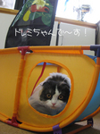 IMG_3698のコピー.jpg