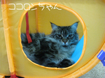 IMG_3705のコピー.jpg